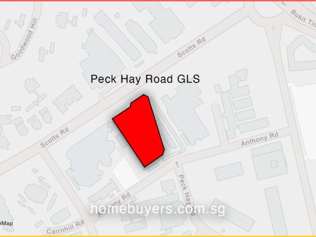 Peck Hay Road GLS site location map Newton District 9 Singapore 2026 near Newton MRT condo